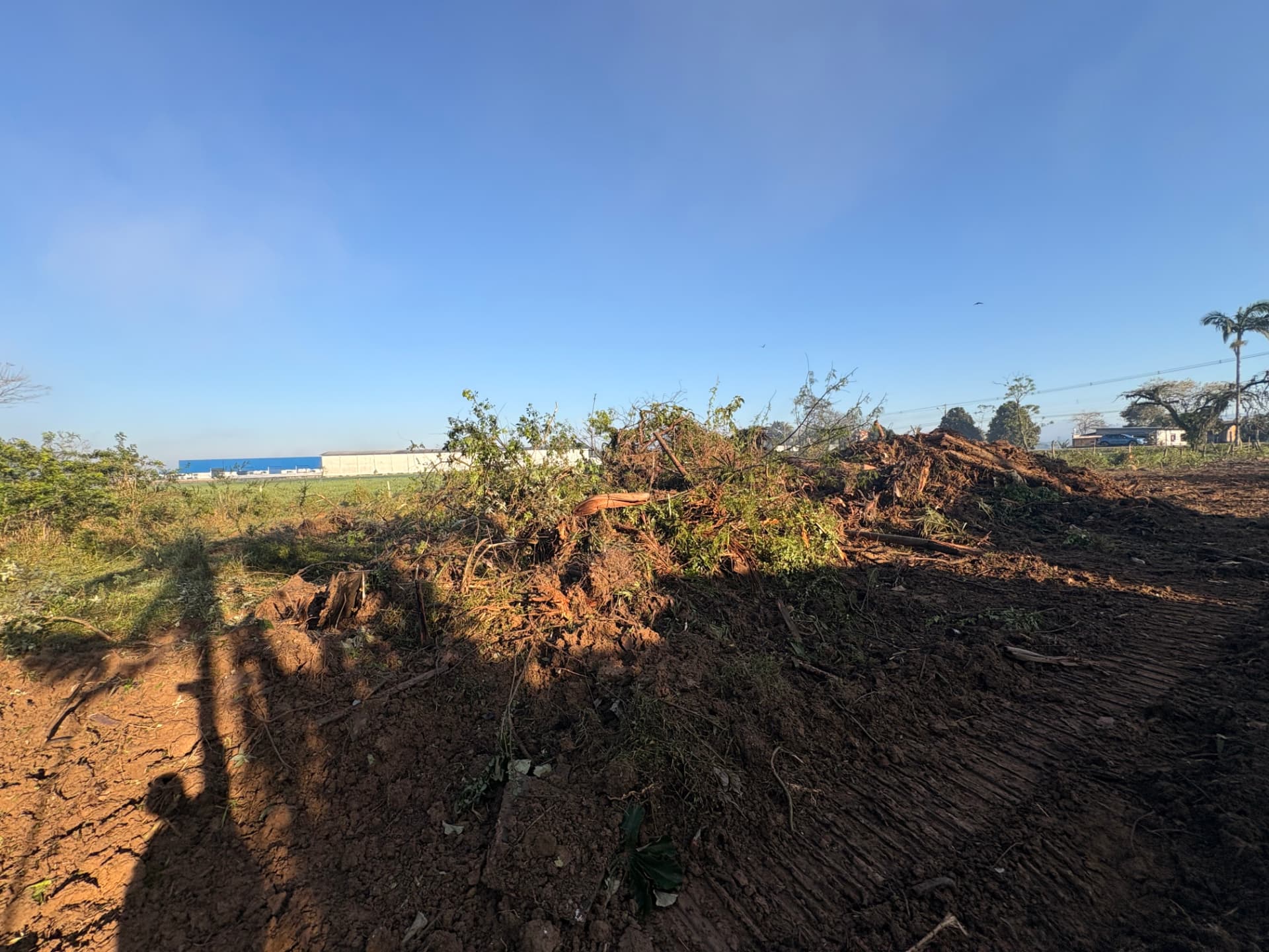 Limpeza de Terreno em Ilhota – SC